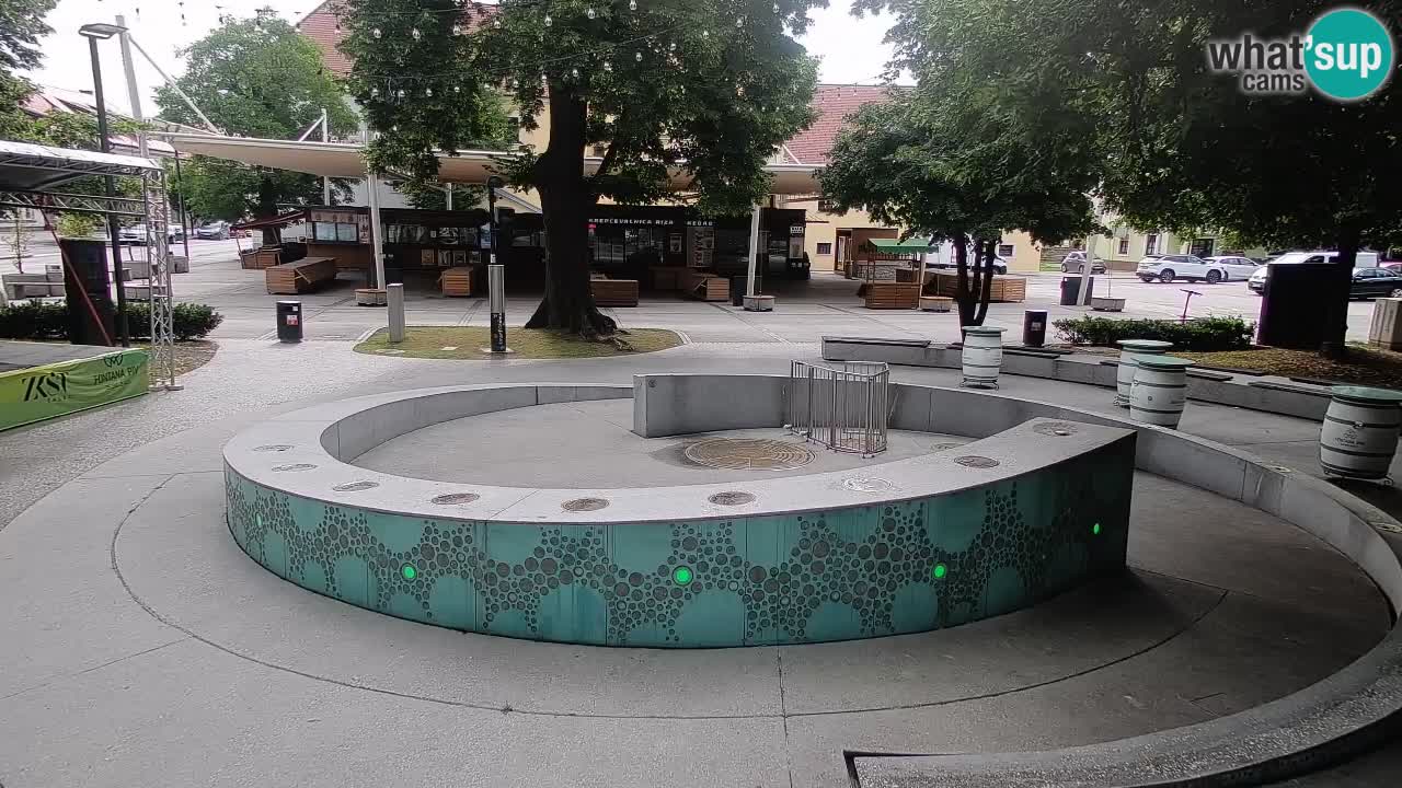 Web kamera Fontana piva – Zeleno zlato – Žalec