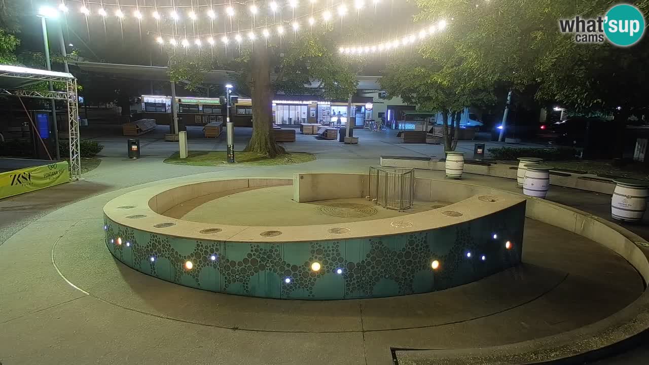 Camera en vivo Fuente de cerveza – Oro verde – Žalec