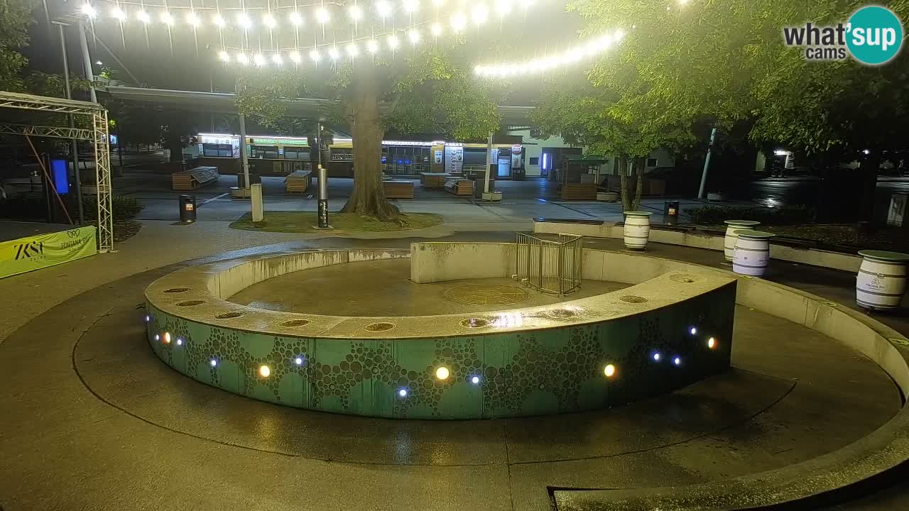 Fontaine à bière LIVE webcam – Or vert – Žalec