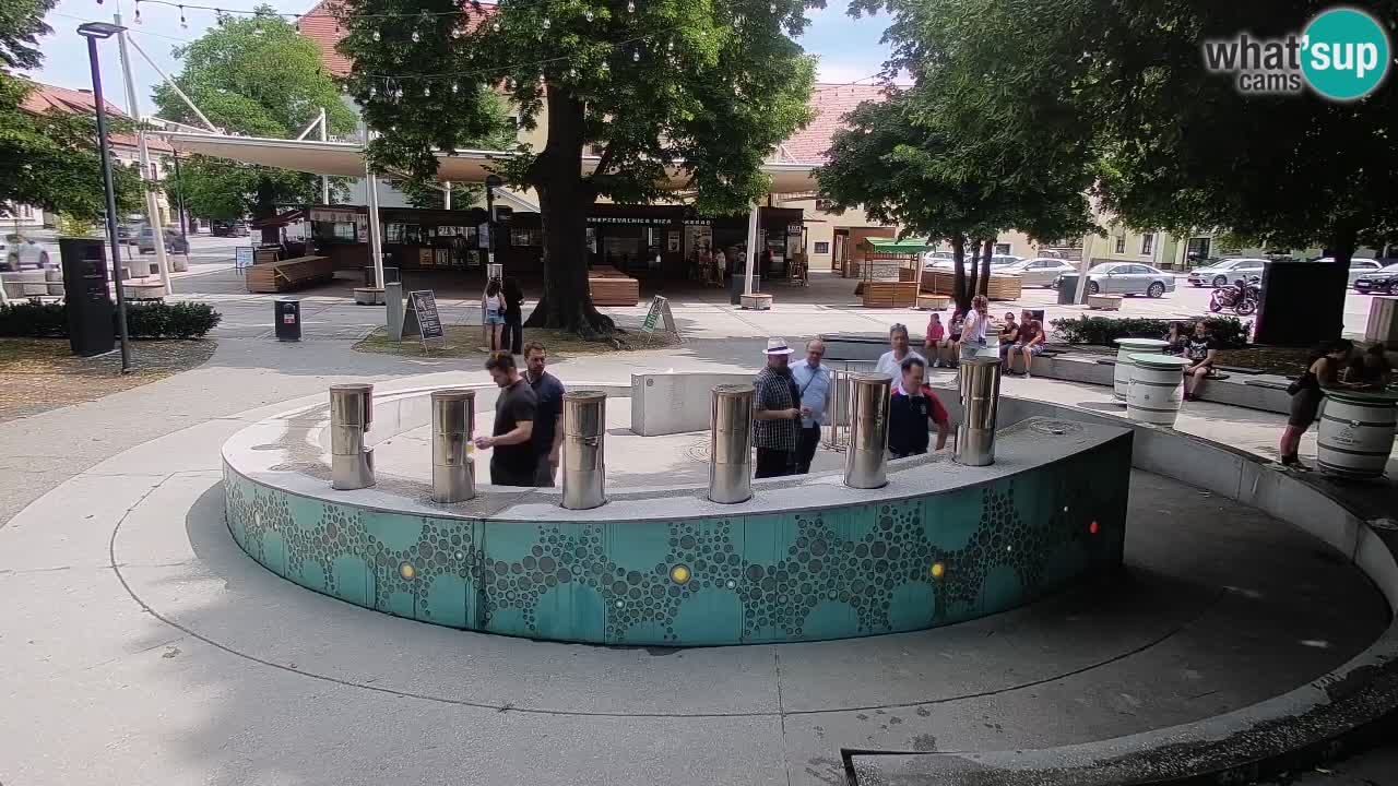 Web kamera Fontana piva – Zeleno zlato – Žalec