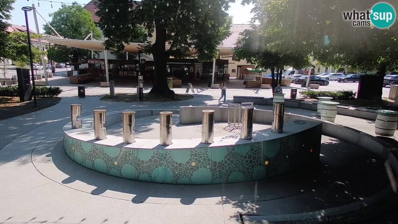 Web kamera Fontana piva – Zeleno zlato – Žalec