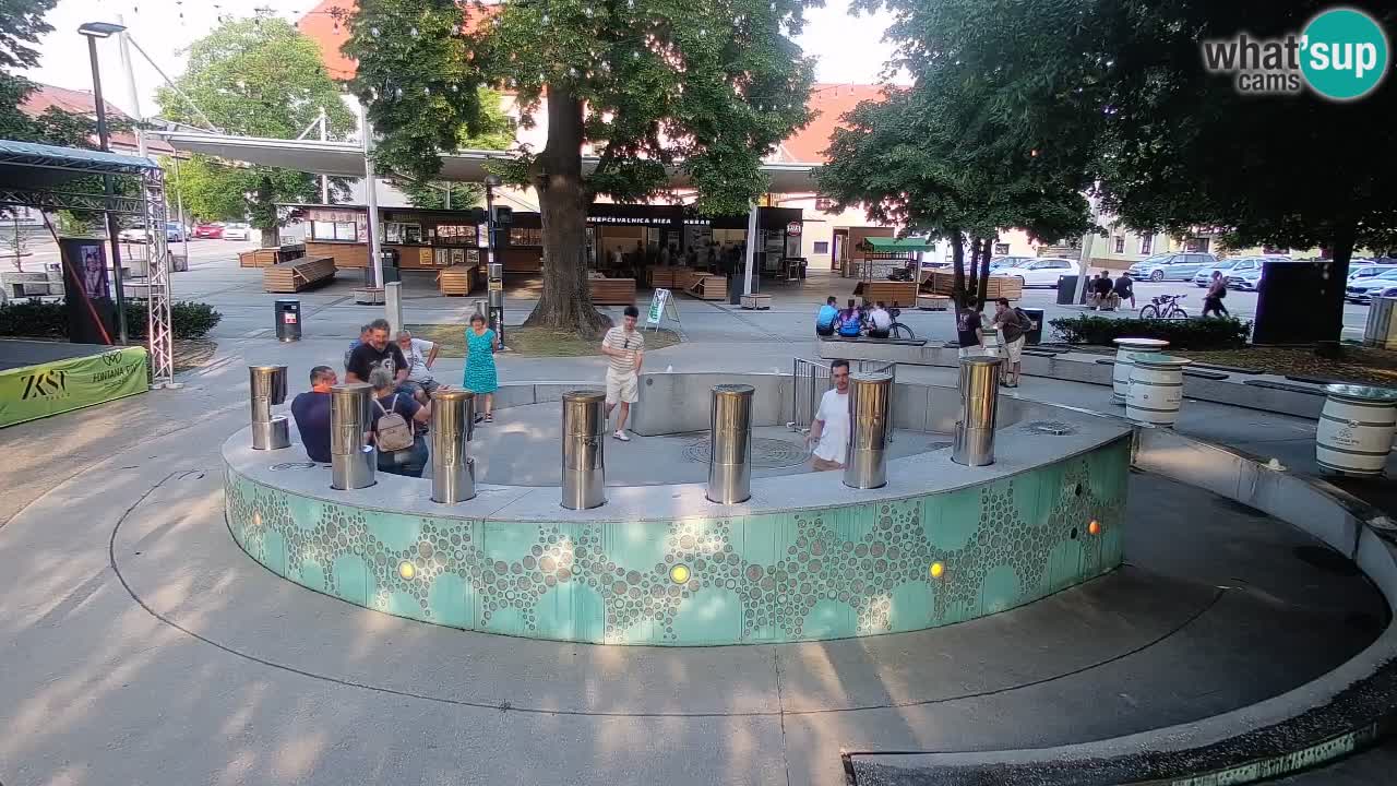 Web kamera Fontana piva – Zeleno zlato – Žalec