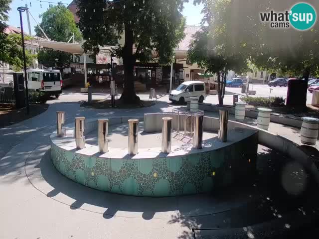 Camera en vivo Fuente de cerveza – Oro verde – Žalec