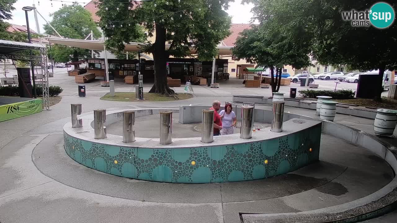 Fontaine à bière LIVE webcam – Or vert – Žalec