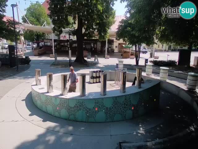 Camera en vivo Fuente de cerveza – Oro verde – Žalec