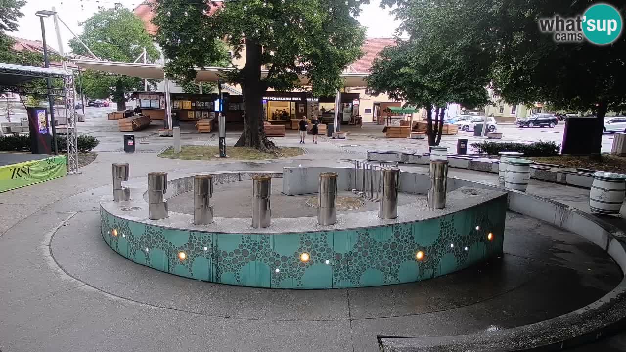 Spletna kamera Fontana Piv – Zeleno zlato Žalec