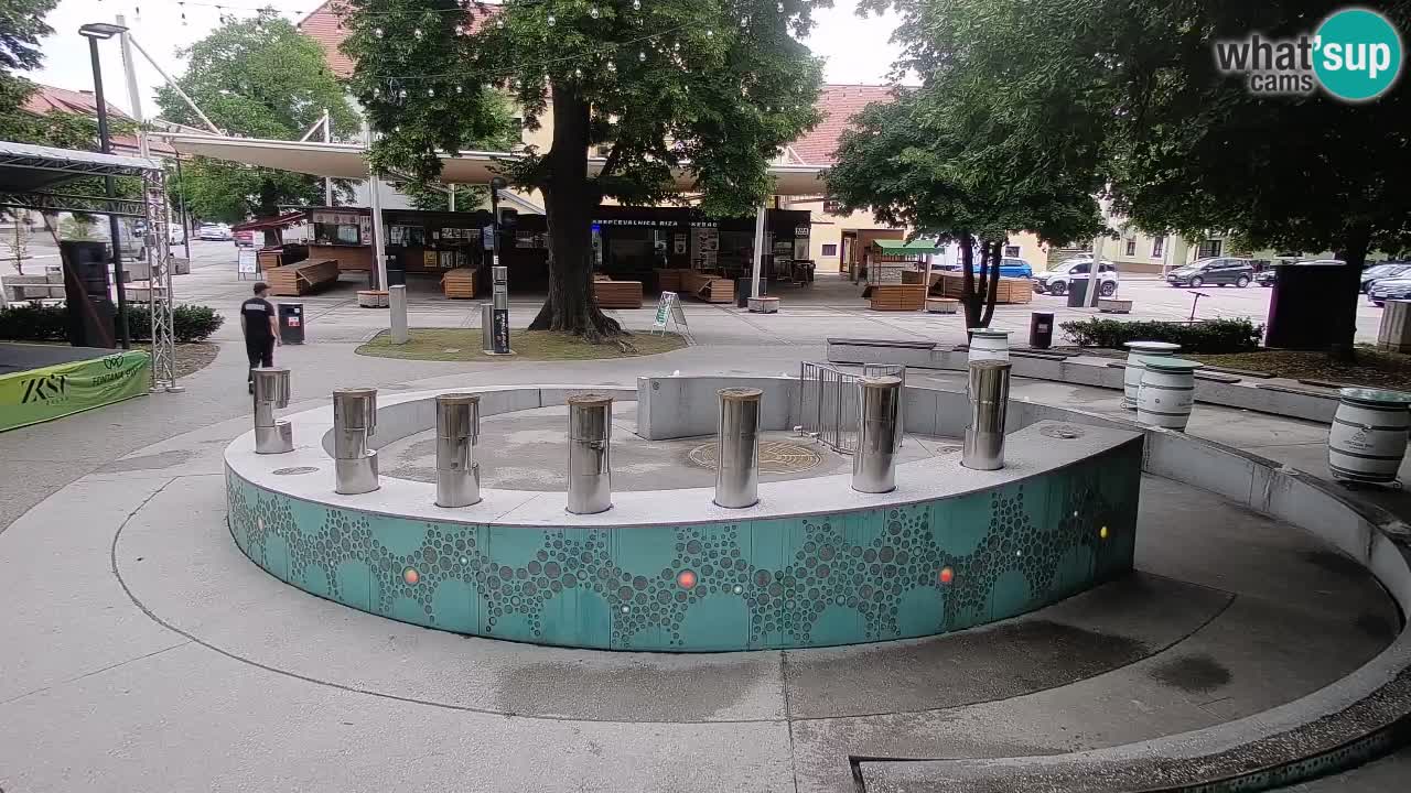 Web kamera Fontana piva – Zeleno zlato – Žalec