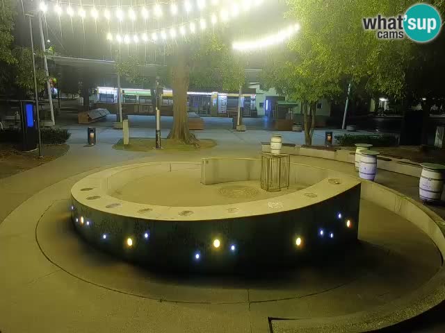 Fontaine à bière LIVE webcam – Or vert – Žalec