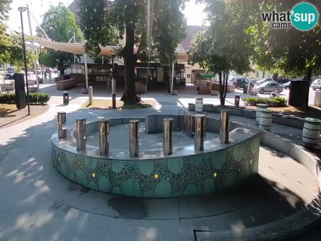 Spletna kamera Fontana Piv – Zeleno zlato Žalec