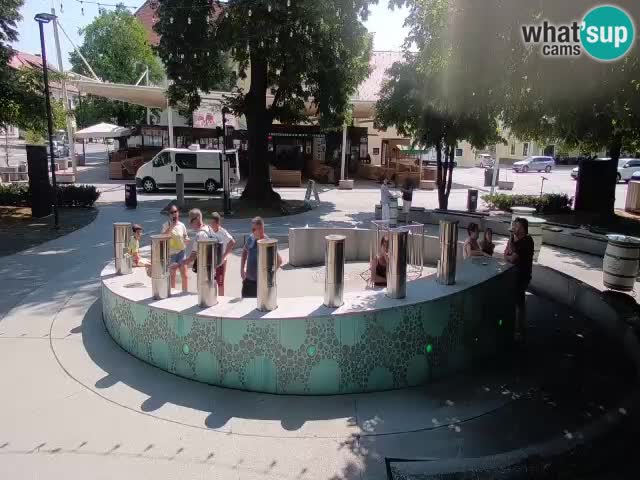 Spletna kamera Fontana Piv – Zeleno zlato Žalec