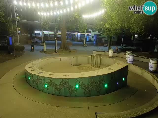 Fontaine à bière LIVE webcam – Or vert – Žalec