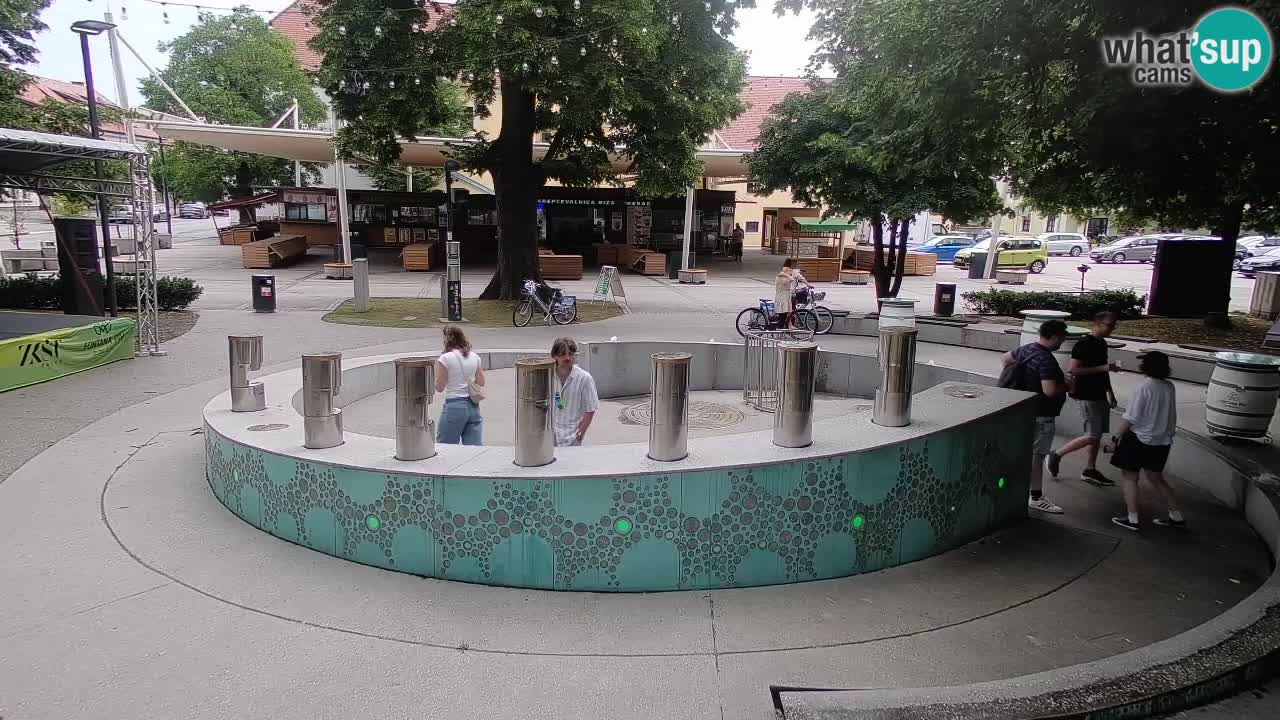 Bier-Springbrunnen Webcam Žalec – Grünen Goldes