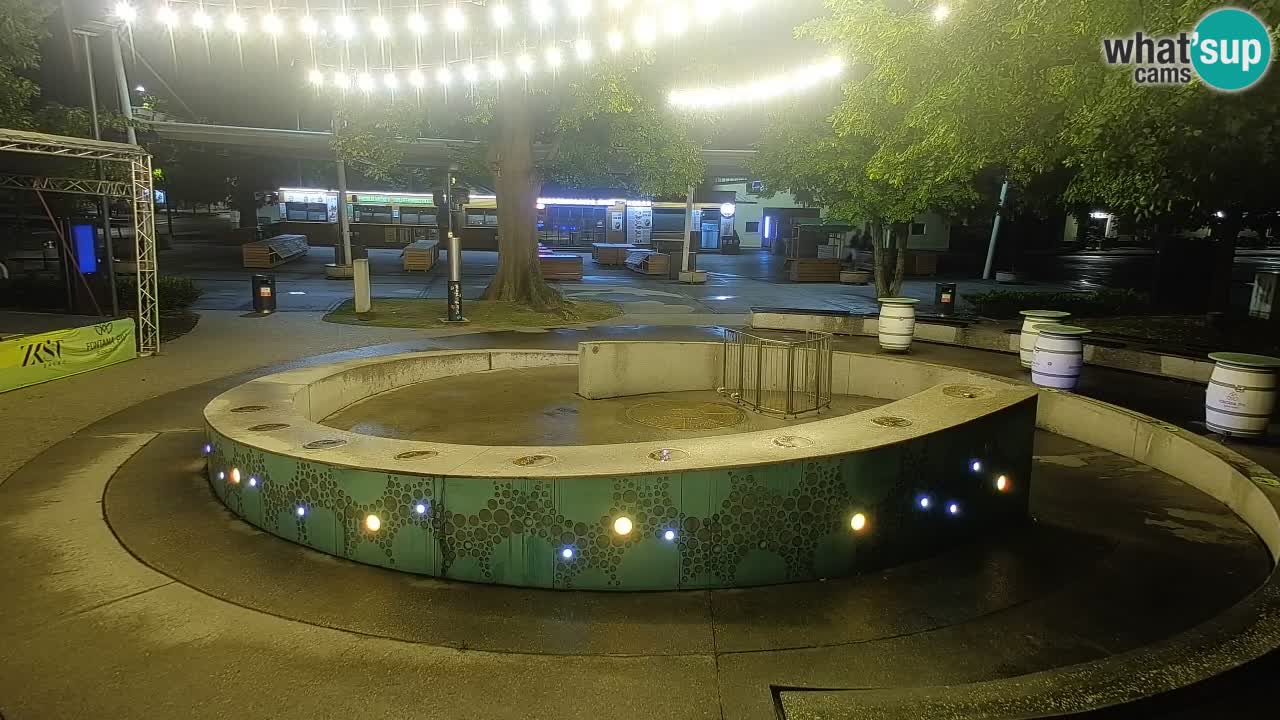 Camera en vivo Fuente de cerveza – Oro verde – Žalec