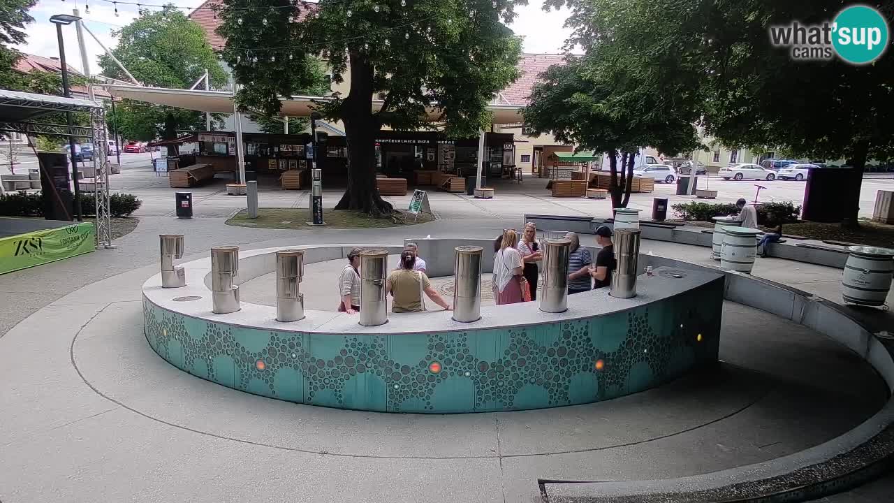 Bier-Springbrunnen Webcam Žalec – Grünen Goldes