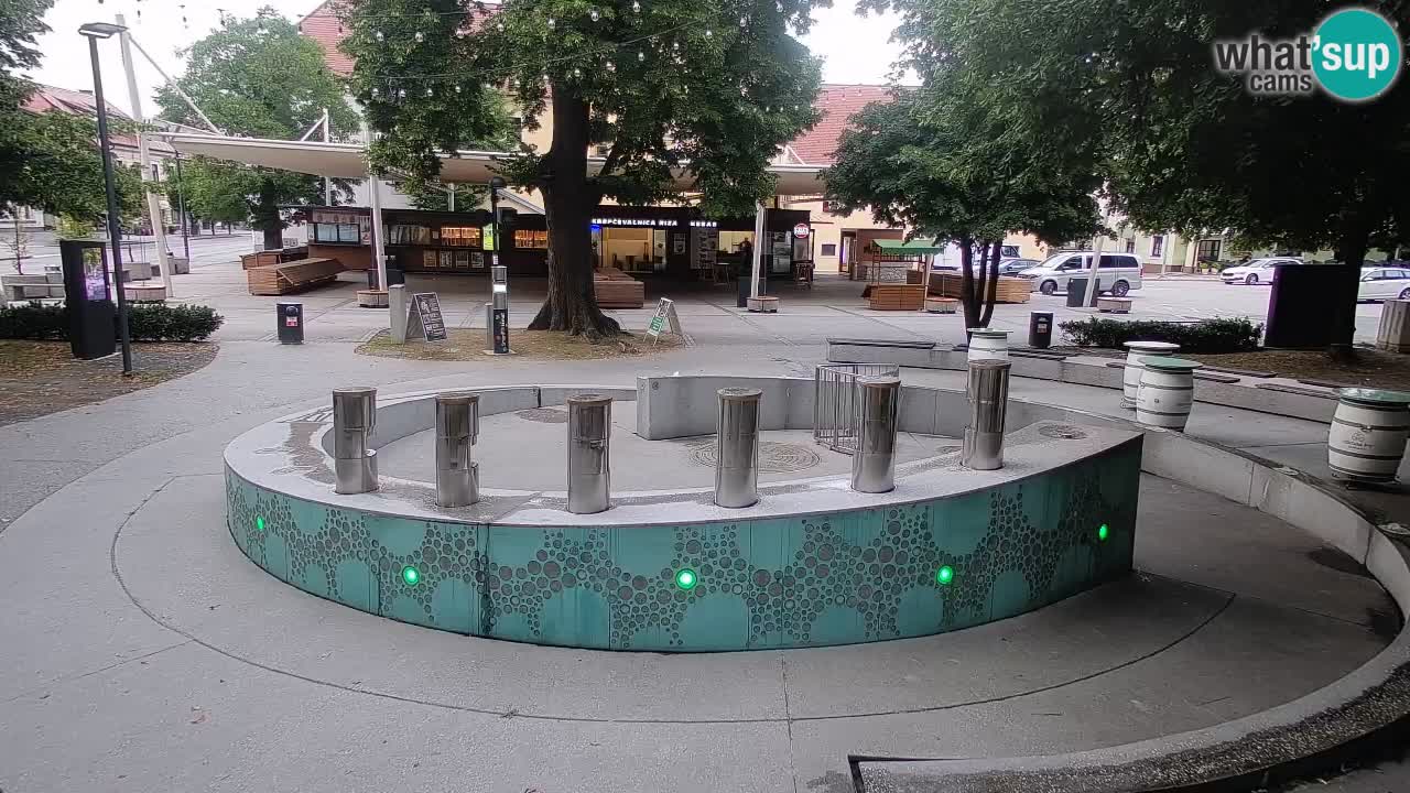 Camera en vivo Fuente de cerveza – Oro verde – Žalec