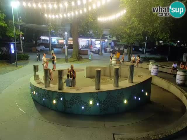 Camera en vivo Fuente de cerveza – Oro verde – Žalec