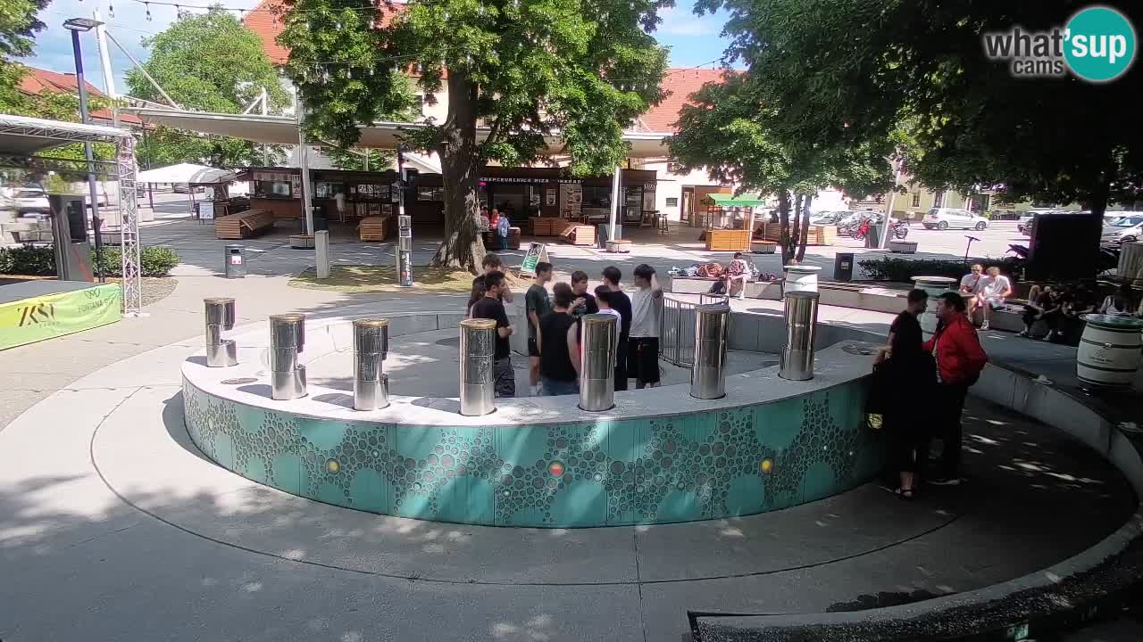 Bier-Springbrunnen Webcam Žalec – Grünen Goldes