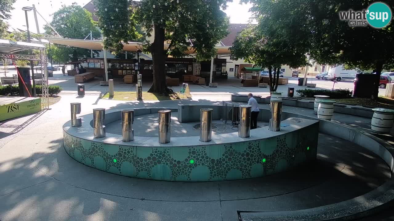 Bier-Springbrunnen Webcam Žalec – Grünen Goldes