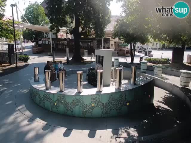 Spletna kamera Fontana Piv – Zeleno zlato Žalec