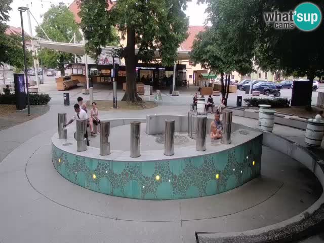 Web kamera Fontana piva – Zeleno zlato – Žalec