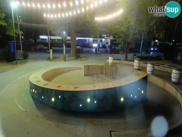 Fontana di birra Webcam – Oro verde – Žalec