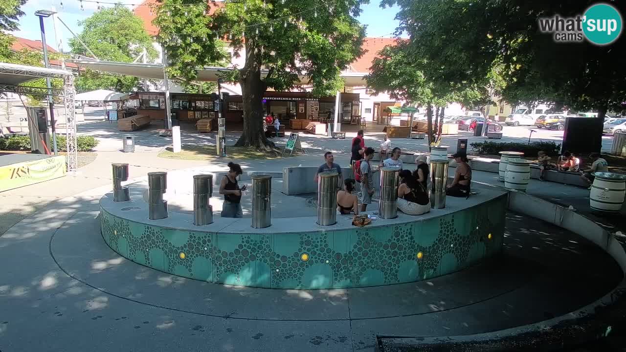 Bier-Springbrunnen Webcam Žalec – Grünen Goldes