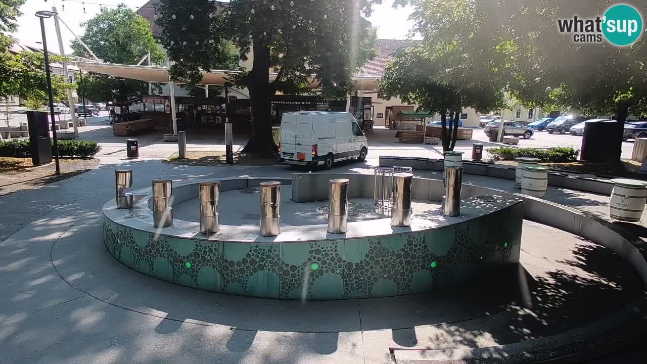 Spletna kamera Fontana Piv – Zeleno zlato Žalec