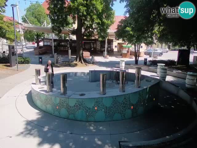 Spletna kamera Fontana Piv – Zeleno zlato Žalec