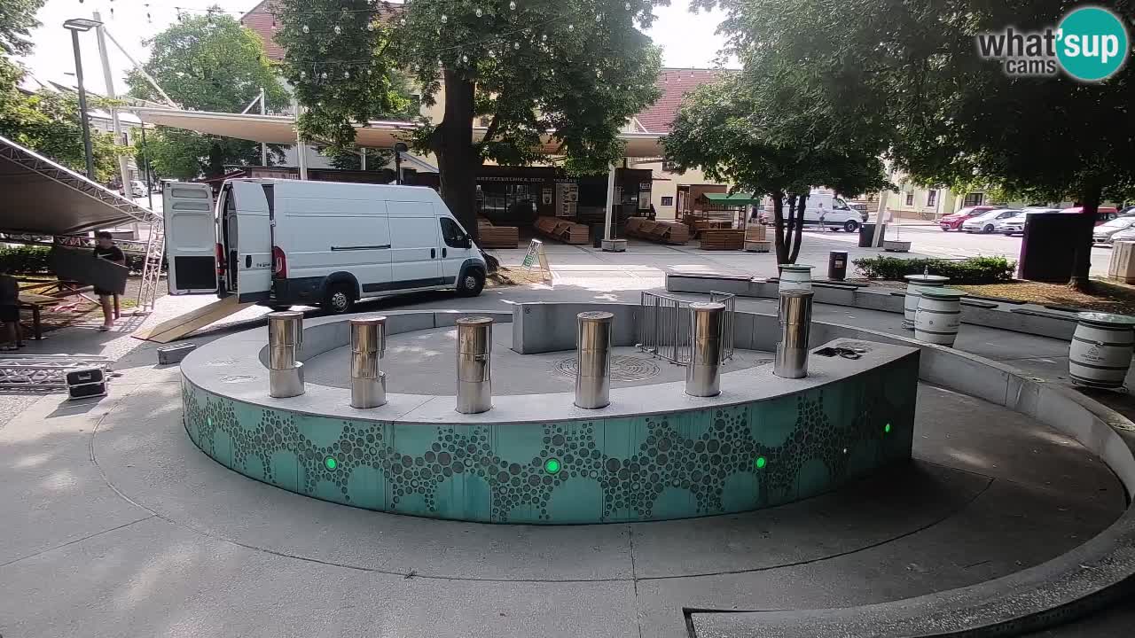 Web kamera Fontana piva – Zeleno zlato – Žalec