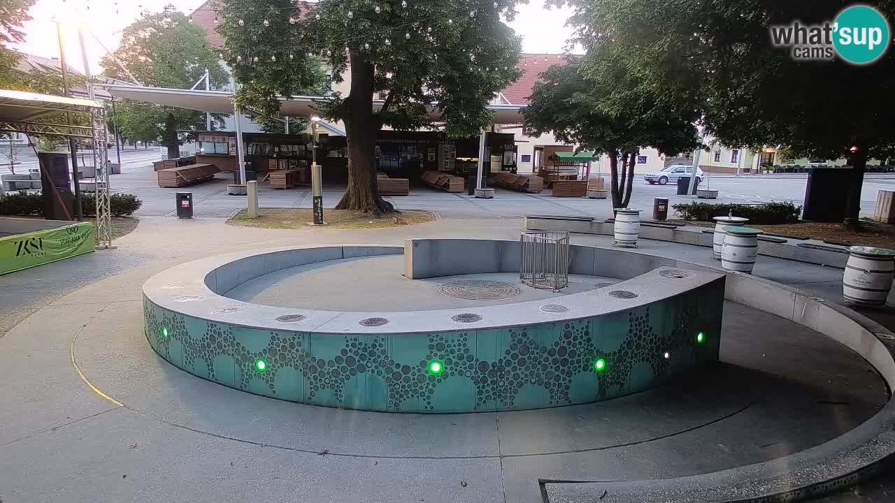 Fontaine à bière LIVE webcam – Or vert – Žalec