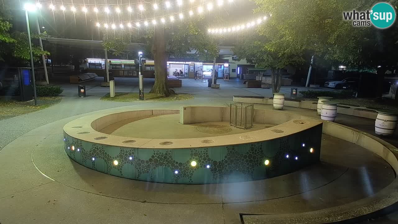 Bier-Springbrunnen Webcam Žalec – Grünen Goldes