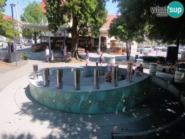 Camera en vivo Fuente de cerveza – Oro verde – Žalec