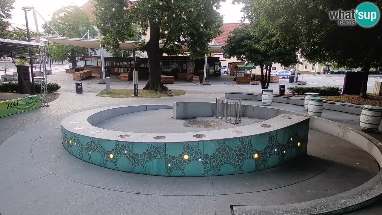 Fontana di birra Webcam – Oro verde – Žalec