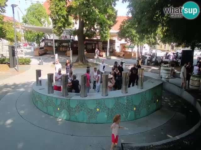 Web kamera Fontana piva – Zeleno zlato – Žalec