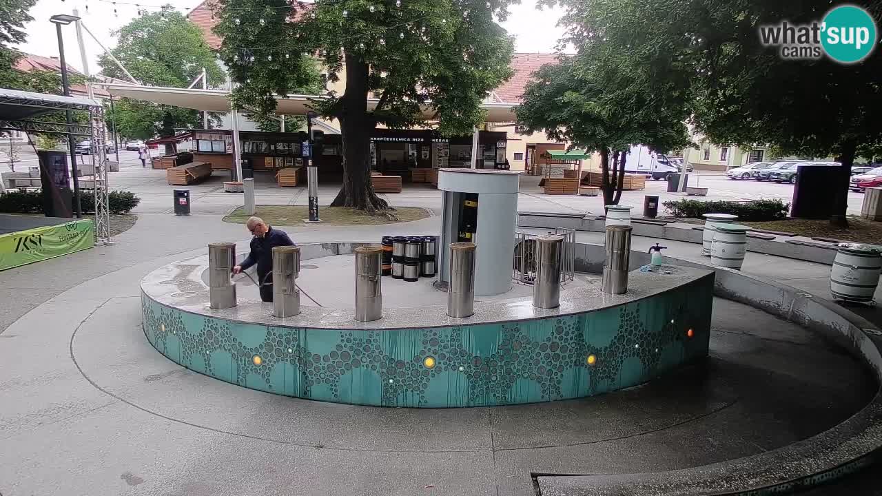 Web kamera Fontana piva – Zeleno zlato – Žalec