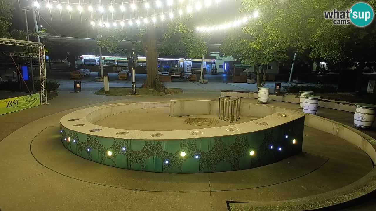 Fontana di birra Webcam – Oro verde – Žalec