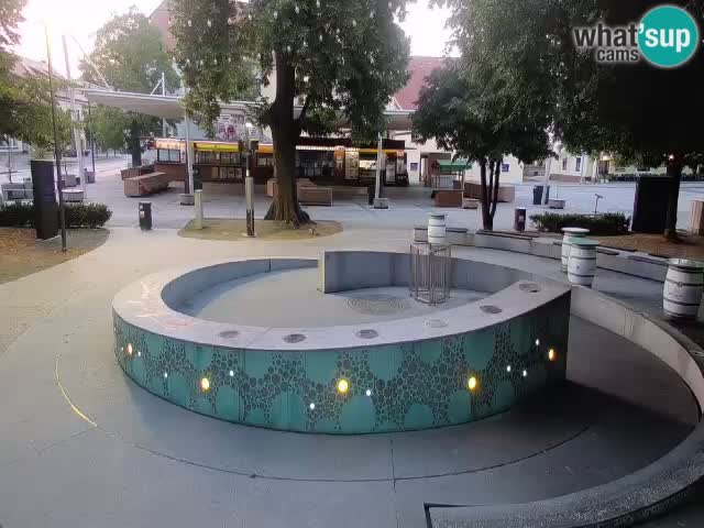 Fontaine à bière LIVE webcam – Or vert – Žalec