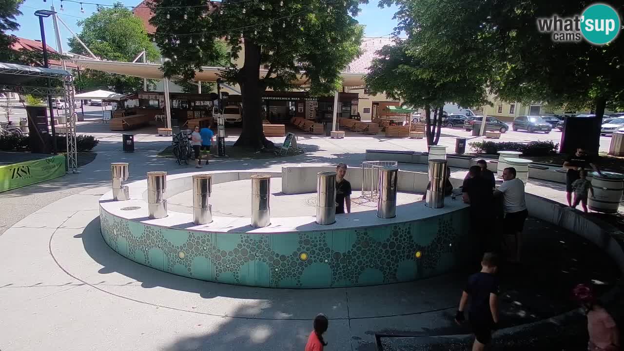 Fontaine à bière LIVE webcam – Or vert – Žalec