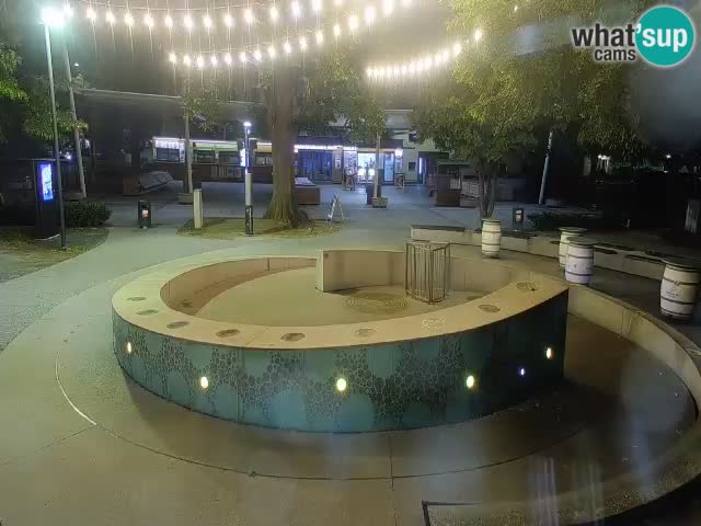 Camera en vivo Fuente de cerveza – Oro verde – Žalec