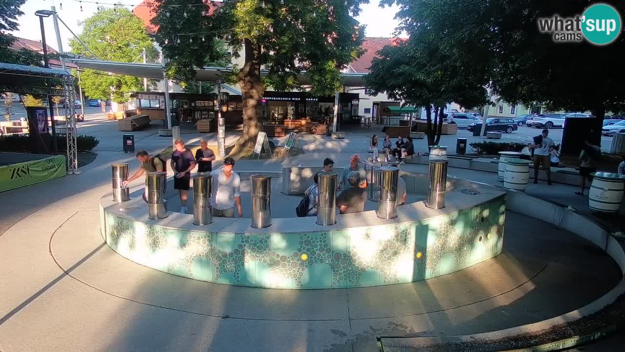 Fontaine à bière LIVE webcam – Or vert – Žalec