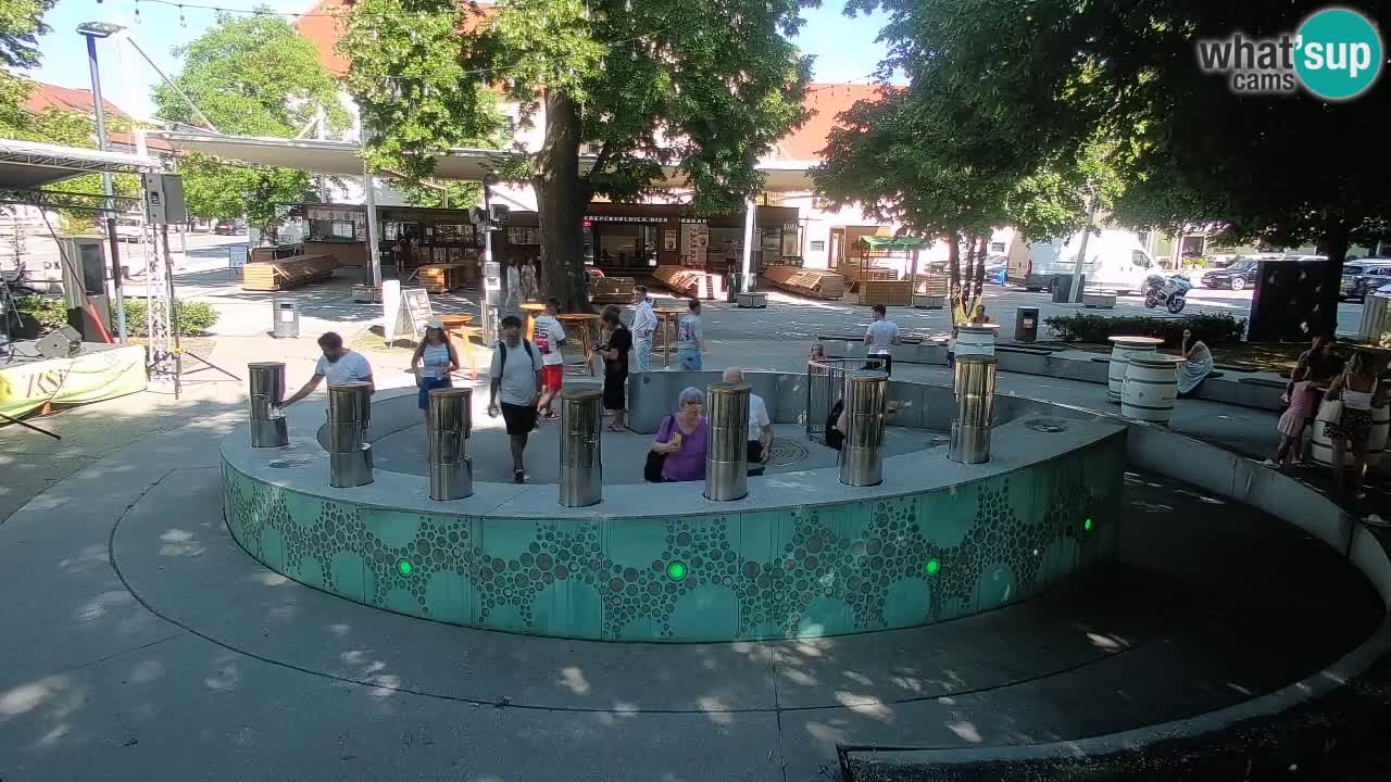 Fontaine à bière LIVE webcam – Or vert – Žalec