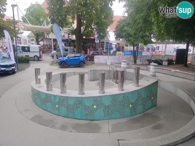 Fontaine à bière LIVE webcam – Or vert – Žalec