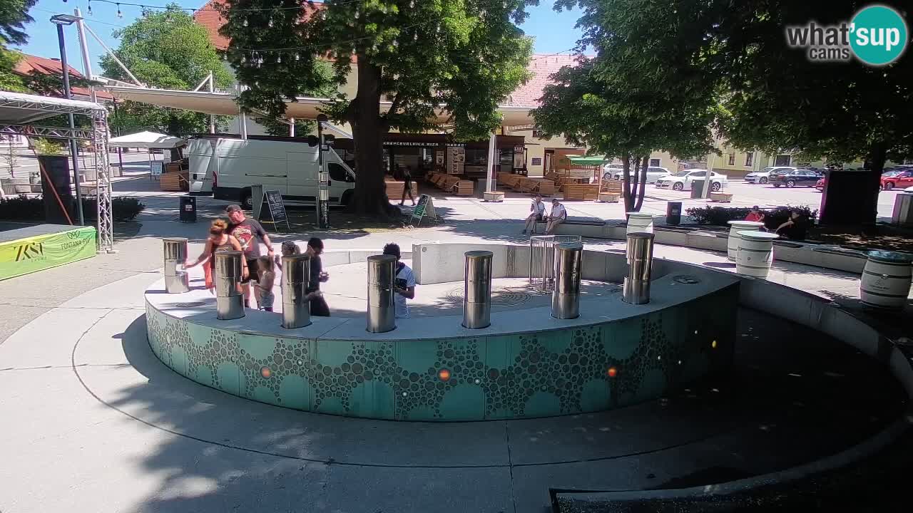 Spletna kamera Fontana Piv – Zeleno zlato Žalec