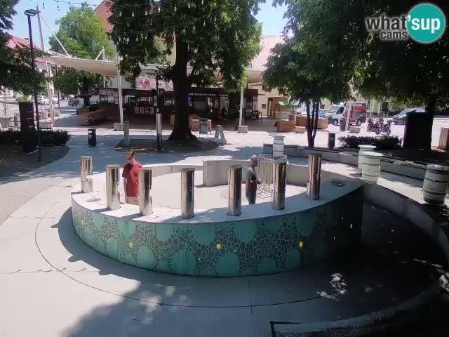 Fontaine à bière LIVE webcam – Or vert – Žalec