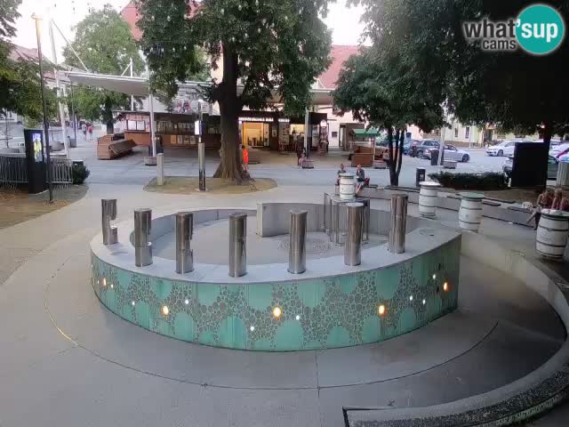 Camera en vivo Fuente de cerveza – Oro verde – Žalec