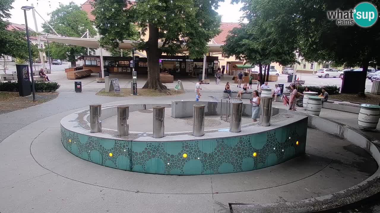 Fontaine à bière LIVE webcam – Or vert – Žalec