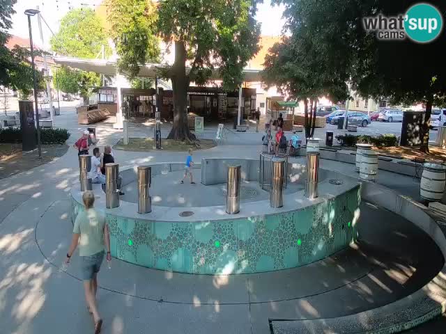 Fontana di birra Webcam – Oro verde – Žalec