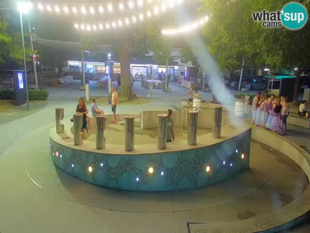 Fontana di birra Webcam – Oro verde – Žalec
