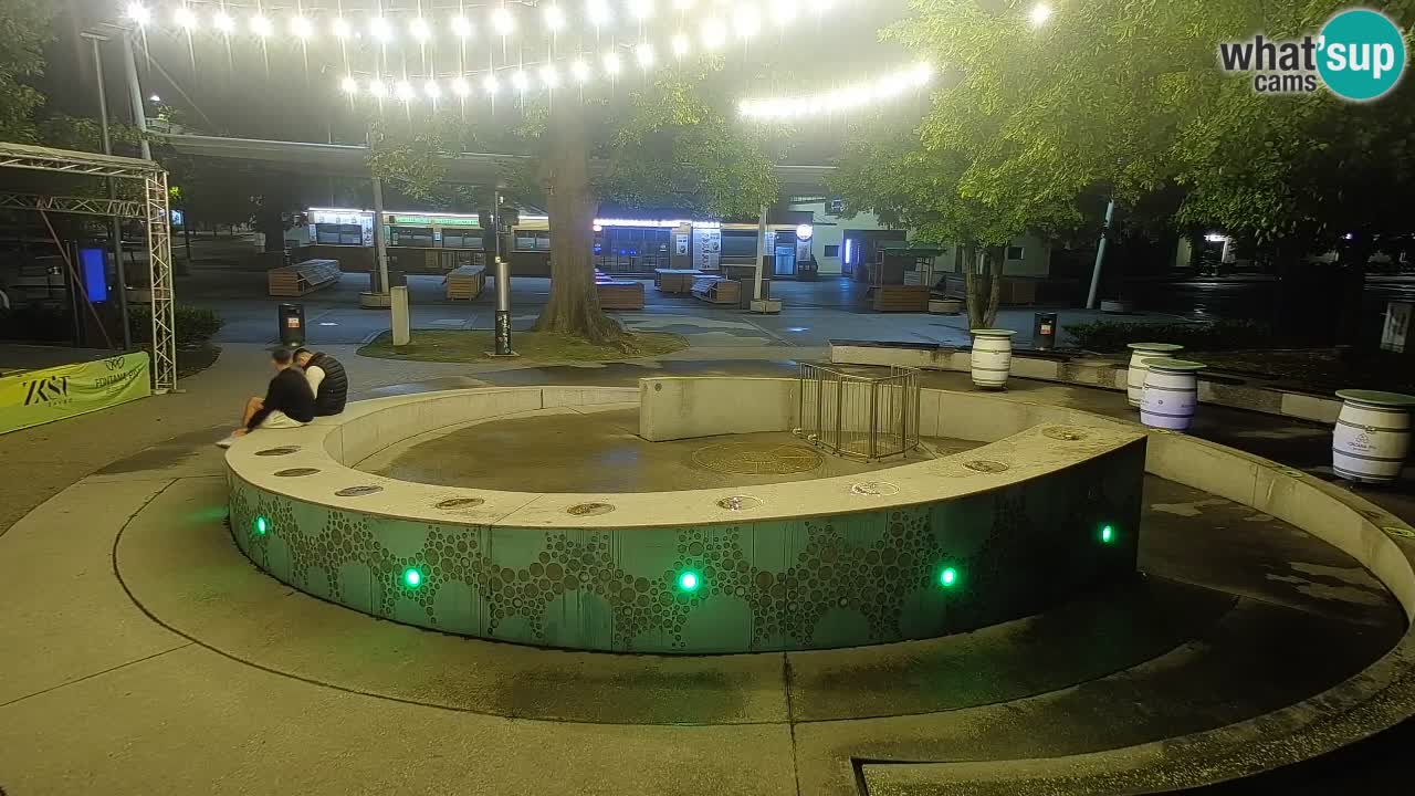 Fontana di birra Webcam – Oro verde – Žalec