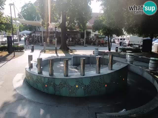 Fontaine à bière LIVE webcam – Or vert – Žalec
